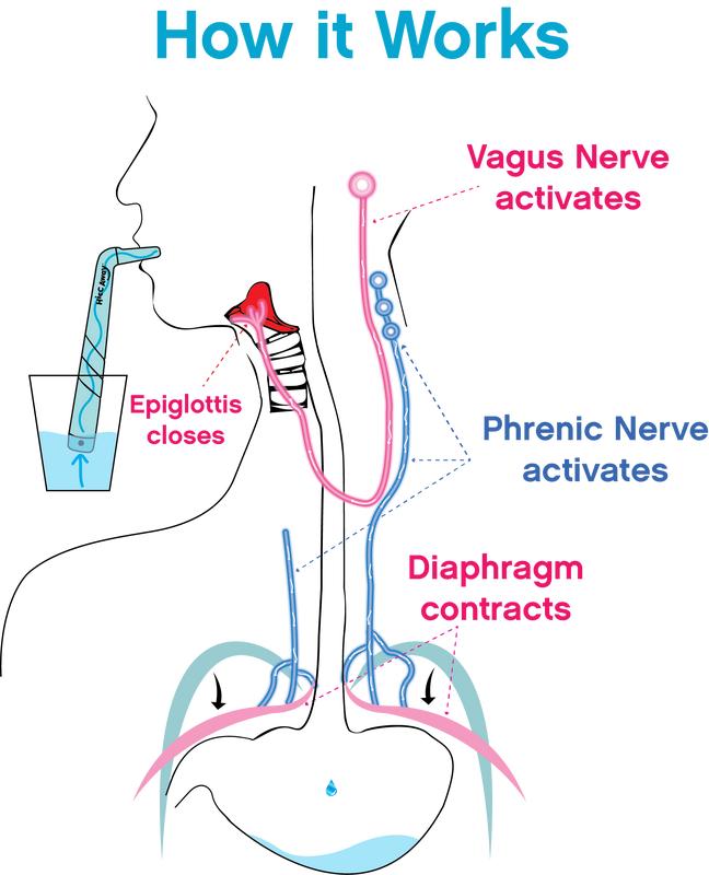 Purevlab Hiccup Straw
